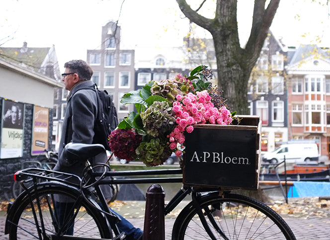 Te zien in Amsterdam Cycle Chic!