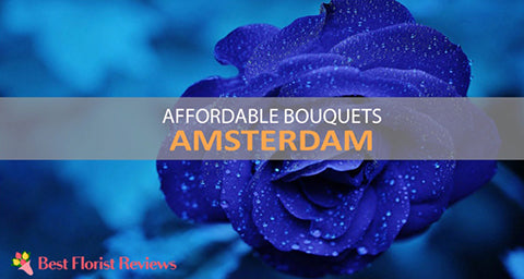Uitgelicht op Best Florist Reviews