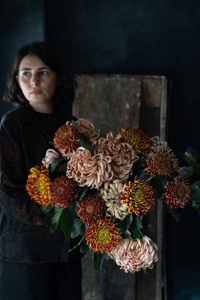 Fall Chrysanthemum | Starting from;